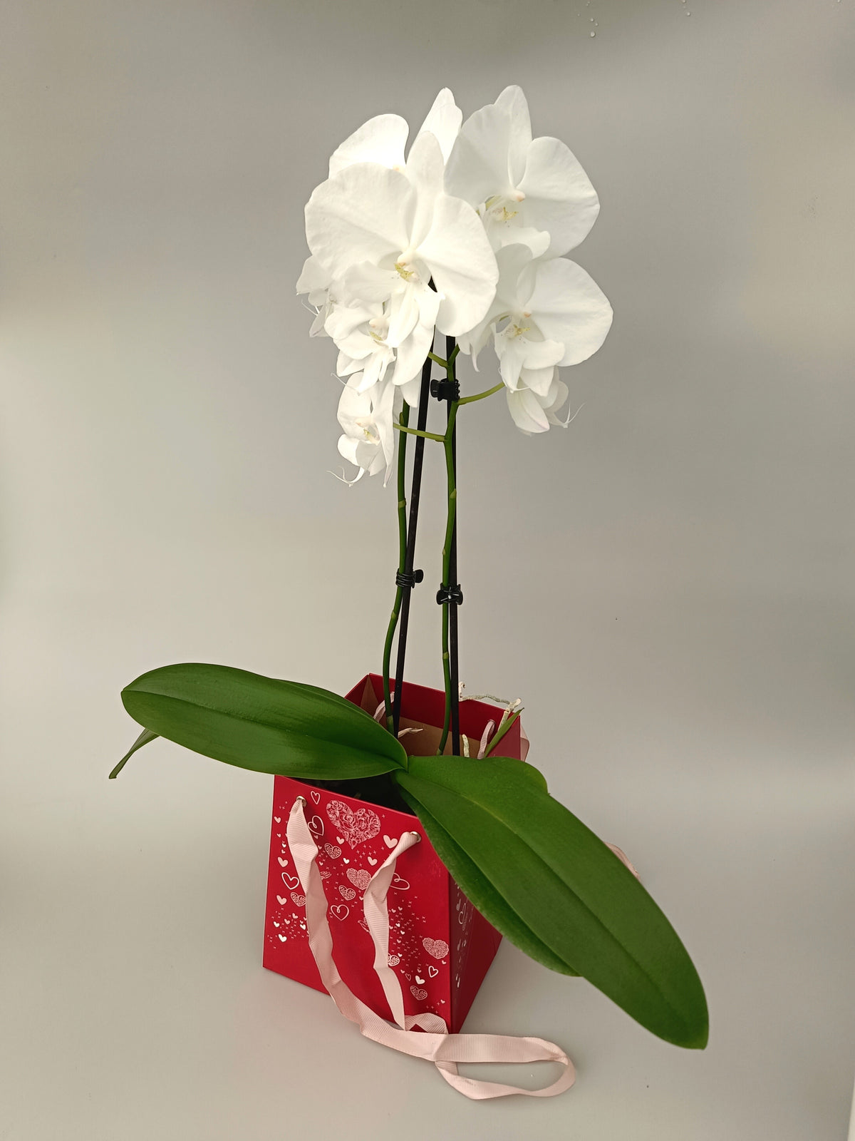 Red Gift Bag – With Hearts